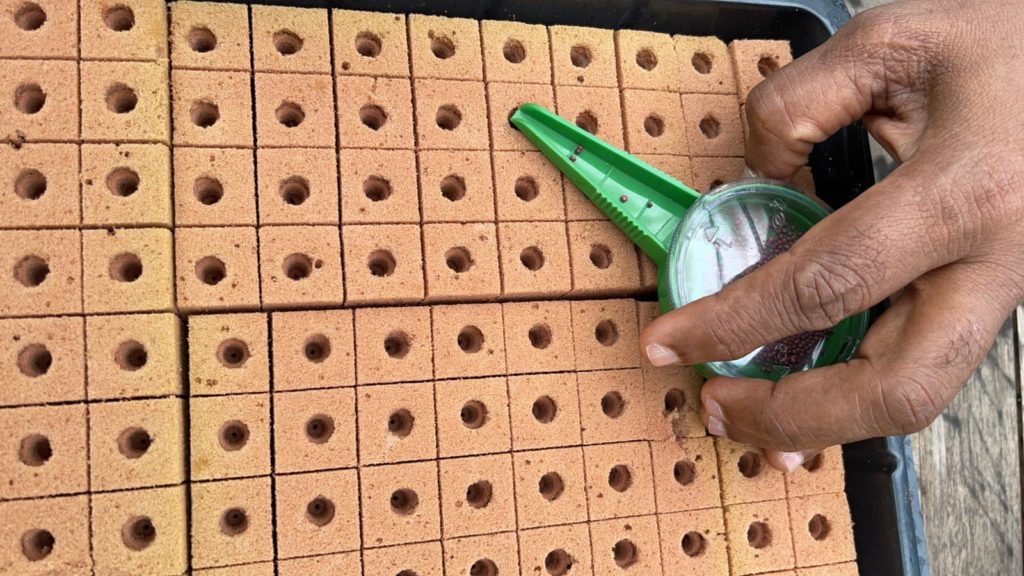 Fully Biodegradable Plant Foam Substrate