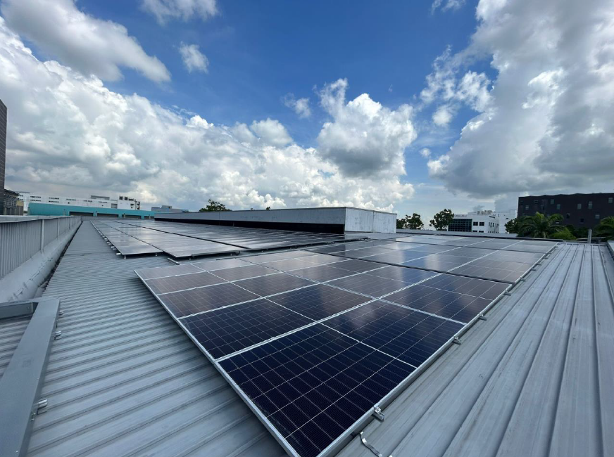 Solar-Linde-1.png